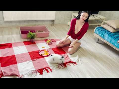 Polina feeds the rabbit